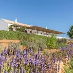 Quinta Da Varzea Do Farelo * Mexilhoeira Grande