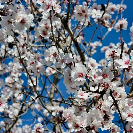 Quinta Da Varzea Do Farelo Holiday home *