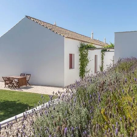 Quinta Da Varzea Do Farelo Holiday home